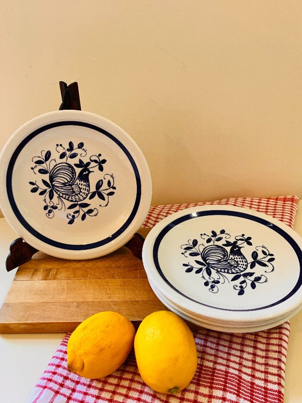 Vintage San Marciano Terragona Forma Hen Plates - Hand Painted - Set of 5